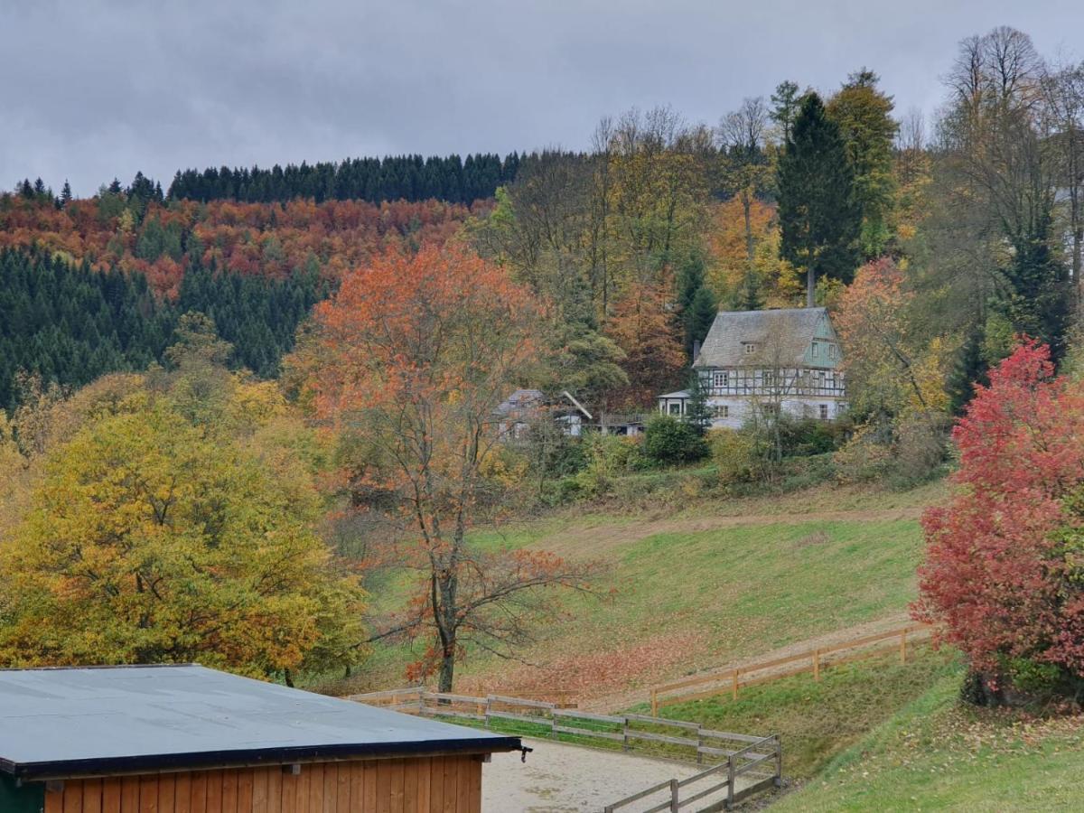 Jagthaus Am Rappelstein Villa Schmallenberg Exteriör bild