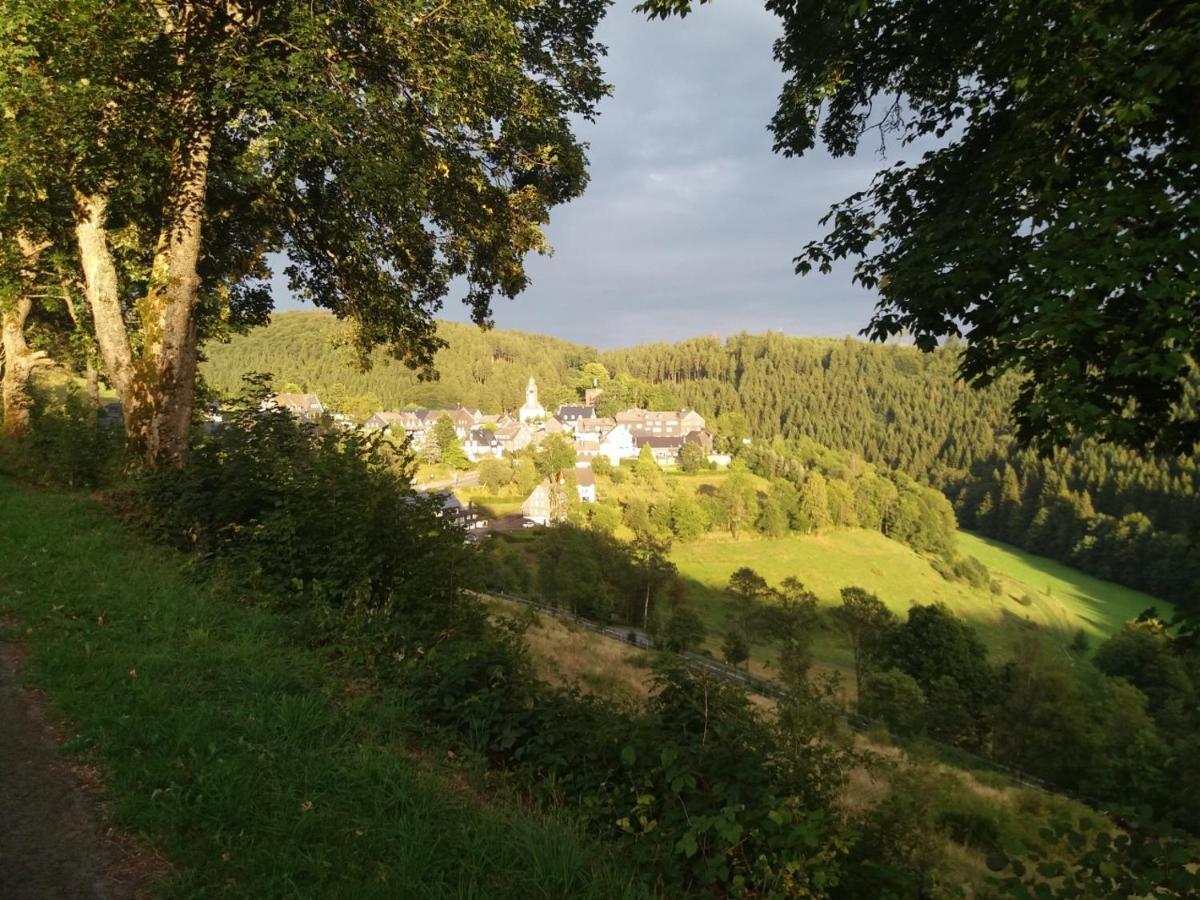 Jagthaus Am Rappelstein Villa Schmallenberg Exteriör bild