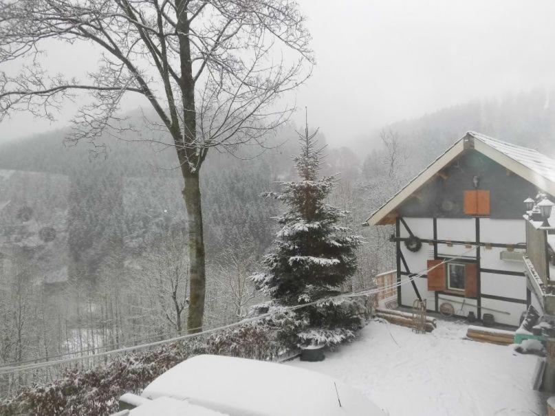 Jagthaus Am Rappelstein Villa Schmallenberg Exteriör bild